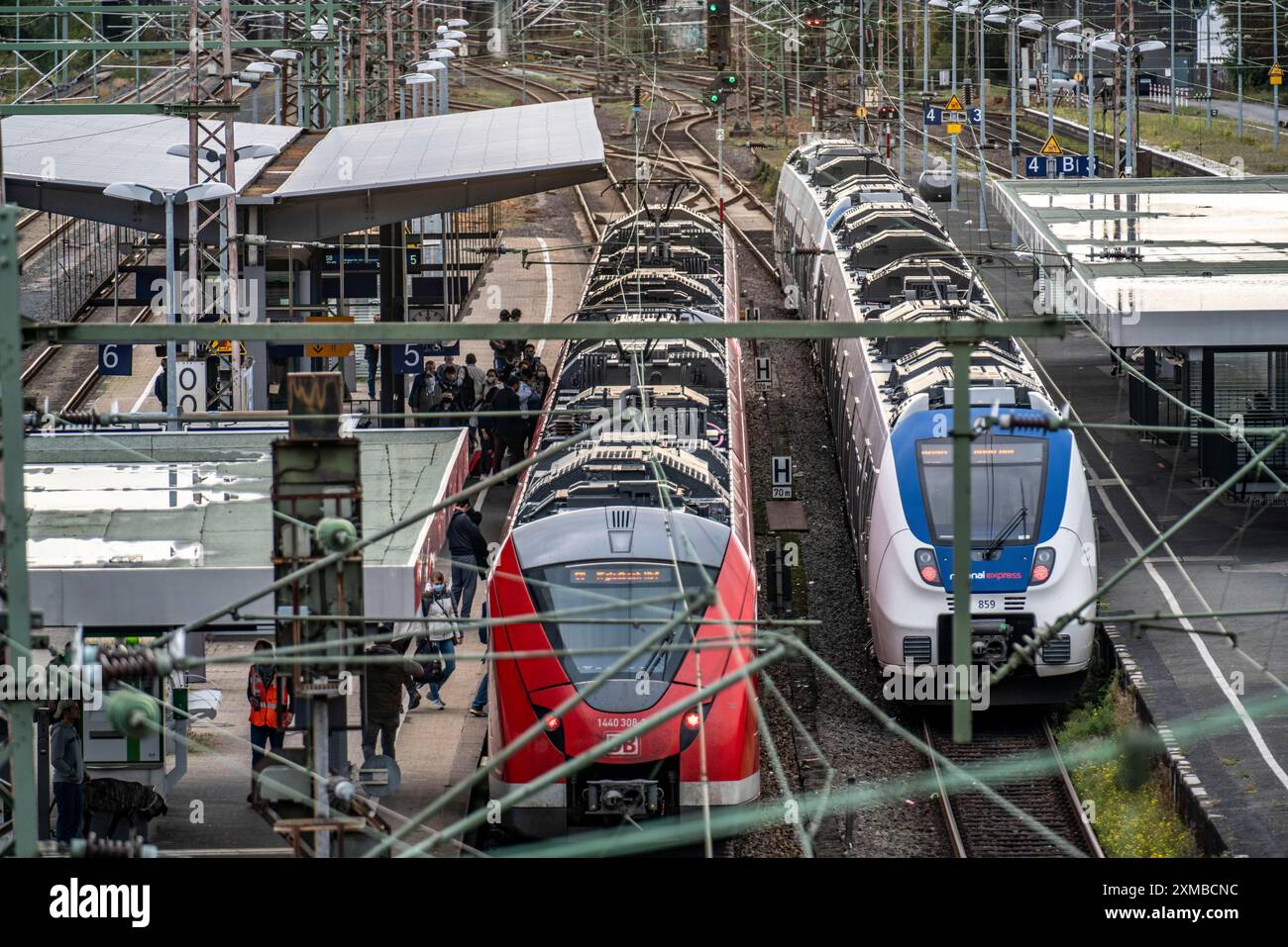 Station de S-Bahn Wuppertal-Elberfeld, quais, train local, Wuppertal, Rhénanie du Nord-Westphalie, Allemagne Banque D'Images