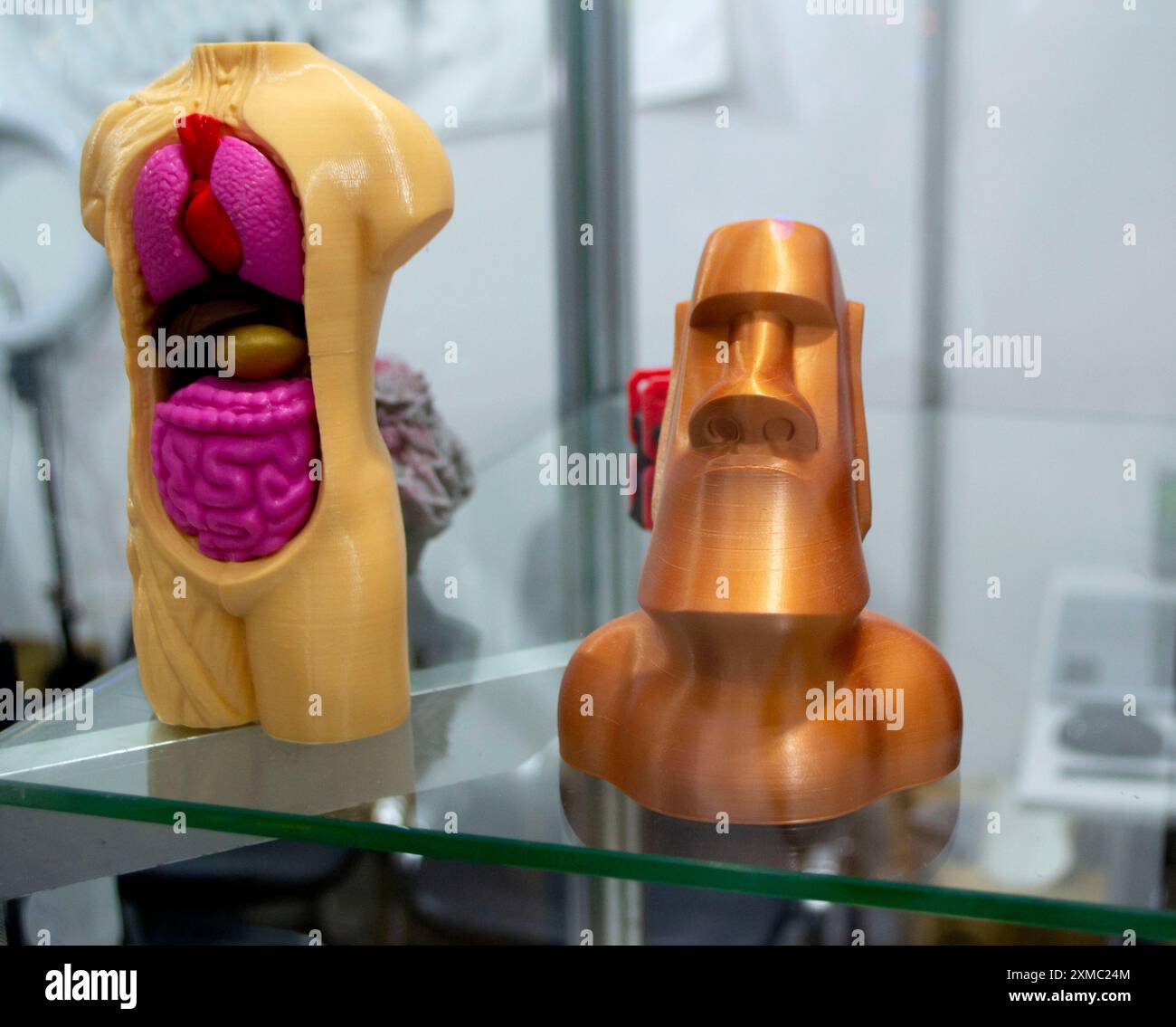 Forme d'art et corps humain avec des organes internes ouverts poumons, coeur, intestins, foie créé sur imprimante 3D à partir de plastique fondu. Impression 3D FDM Banque D'Images