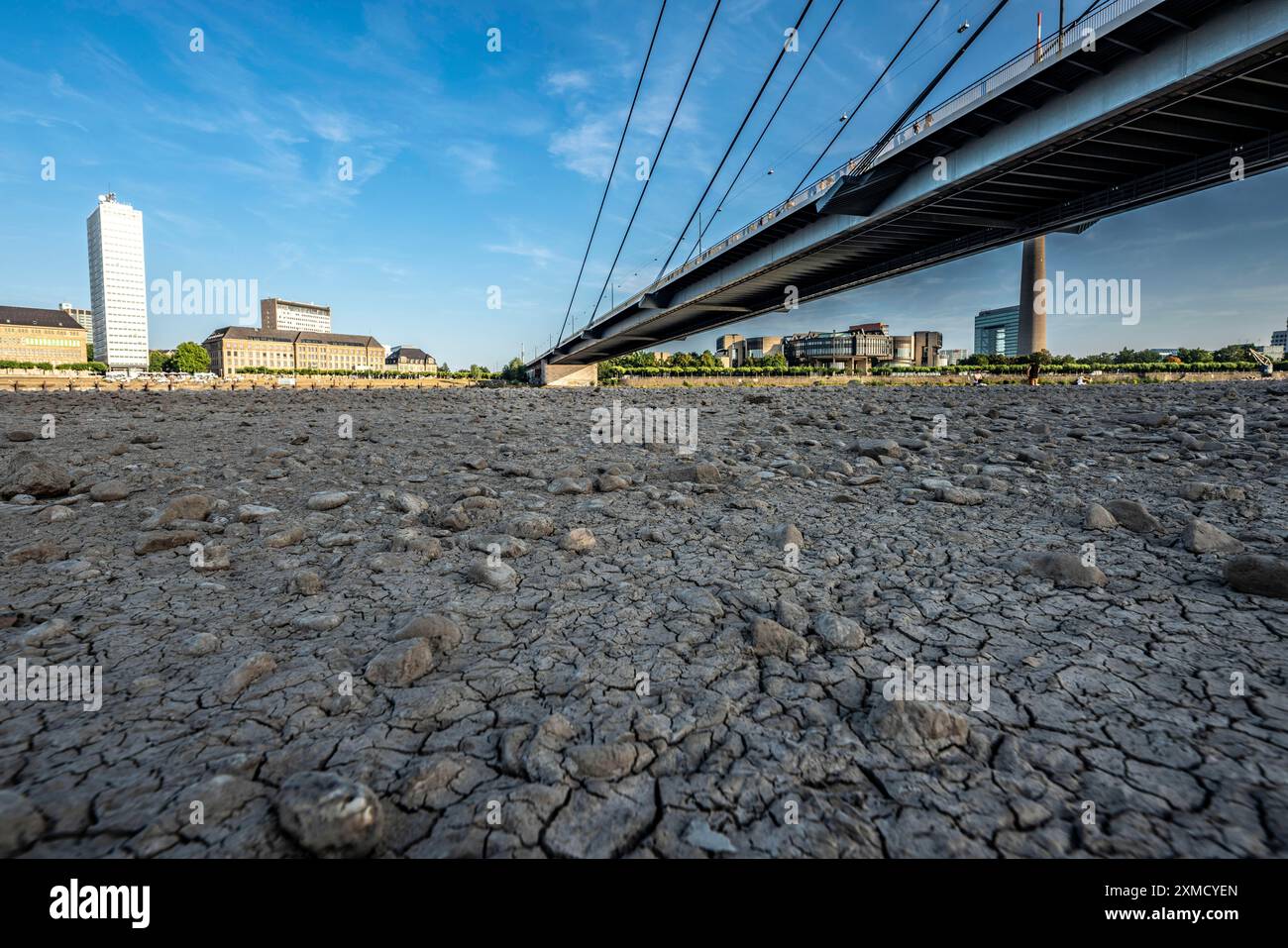 Rhin près de Duesseldorf, eau extrêmement basse, niveau du Rhin à 81 cm, chute, après une longue sécheresse la rive gauche du Rhin est sèche, près de Duesseldorf Banque D'Images