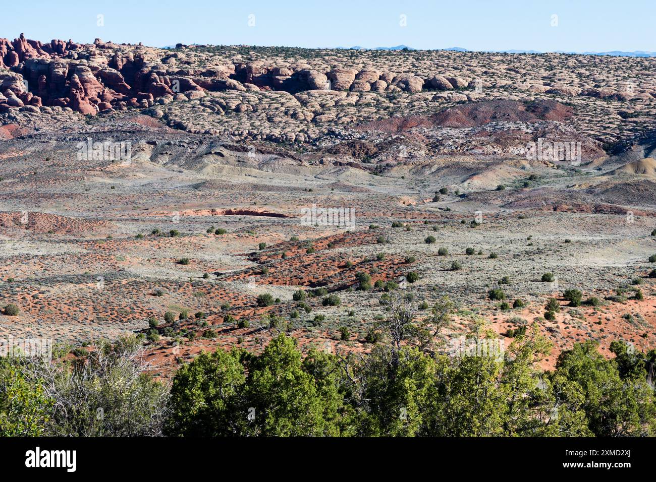 Vue panoramique sur les dunes pétrifiées dans le parc national d'Arches - Utah, États-Unis Banque D'Images