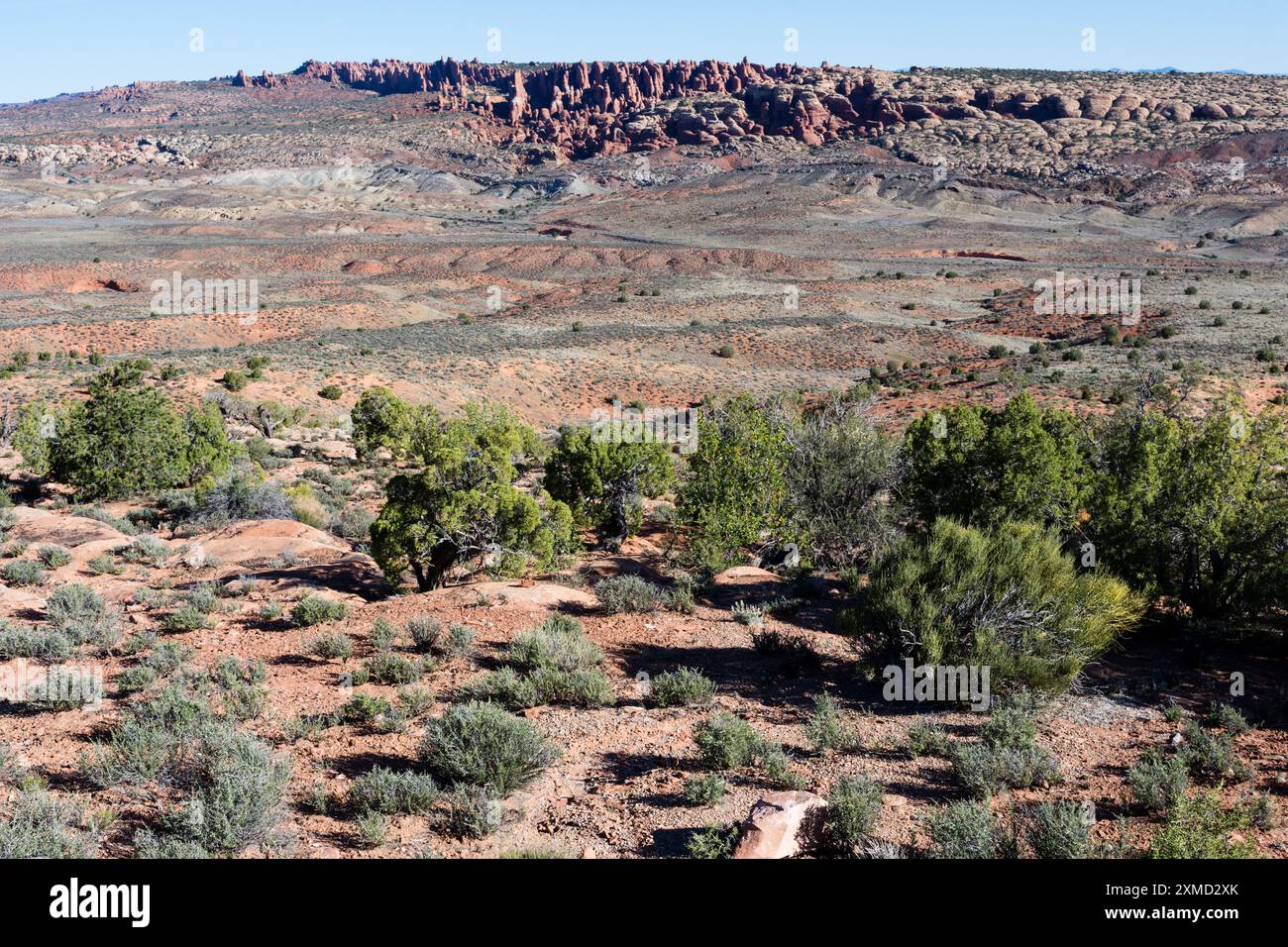 Vue panoramique sur les dunes pétrifiées dans le parc national d'Arches - Utah, États-Unis Banque D'Images
