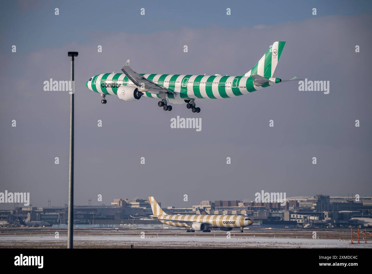 Condor Airbus A330-900 approchant l'aéroport de Francfort FRA et sur la voie de circulation, Fraport, en hiver, Hesse, Allemagne Banque D'Images