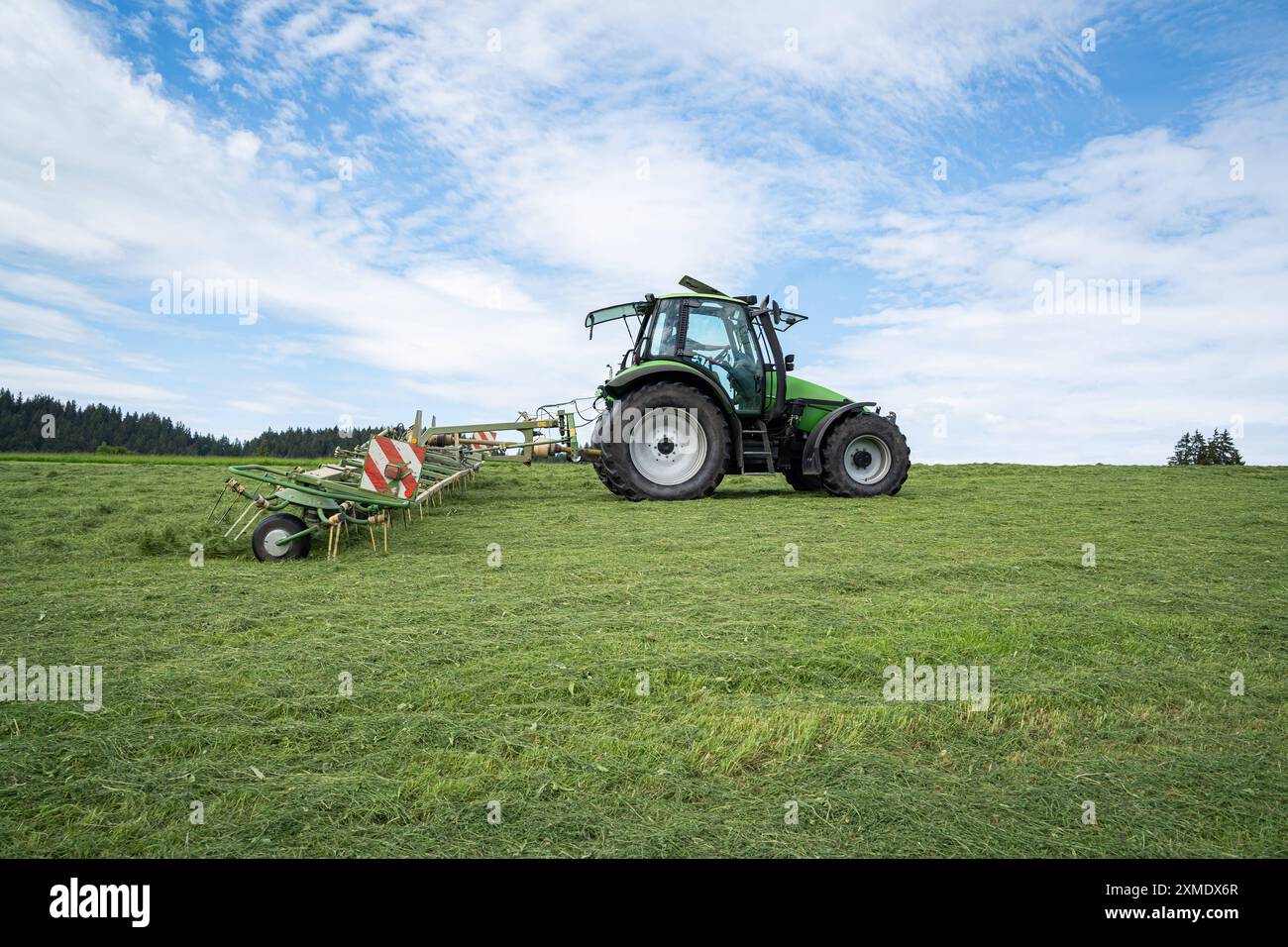 Grasernte - gemähtes gras wird im Oberallgäu von Traktor mit angehängter Heumaschine geschwadet. In Deutschland wir das meiste gras in Form von Grassilage als Winterfutter für das Rindvieh eingelagert. Aber auch Heu spielt BEI der Rindvieh- Schaf- und Pferdefütterung immer nicht eine große Rolle. Abhängig vom Wetter ist es einfacher, Grassilage zu gewinnen - insbesonderne in nassen Sommern wie 2024. In Bayern ist in bestimmten Regionen die Vermarktung von Heumilch verbreitet - BEI der als Grundfutter keine ensilage sondern ausschliesslich nur frisches gras oder Heu an die laktierenden Kühe verfü Banque D'Images