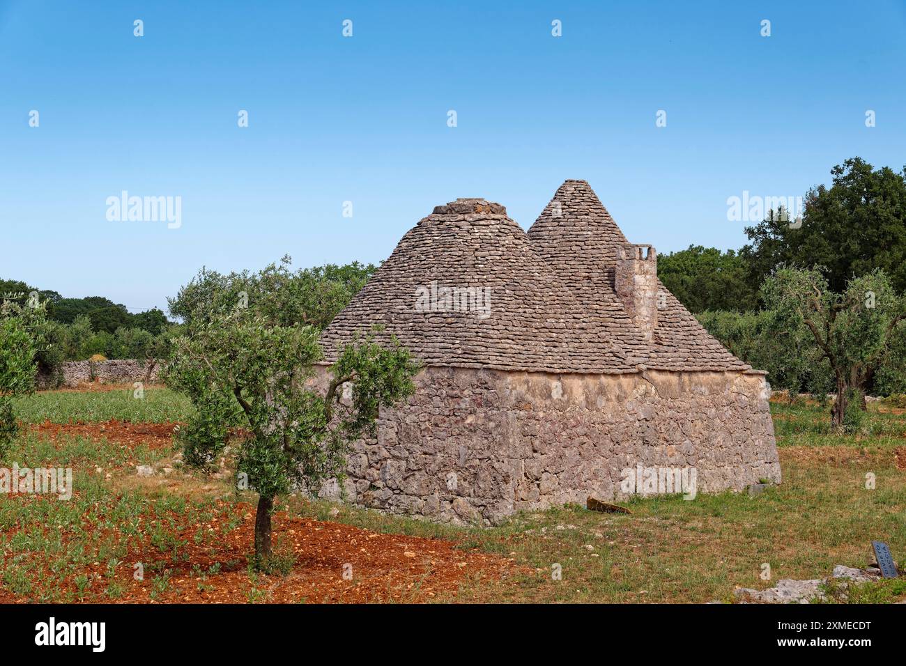 Un trullo indépendant, maison ronde avec un toit en pierre, sur le bord de la ville italienne méridionale d'Alberobello. Alberobello, Pouilles, Italie du Sud Banque D'Images