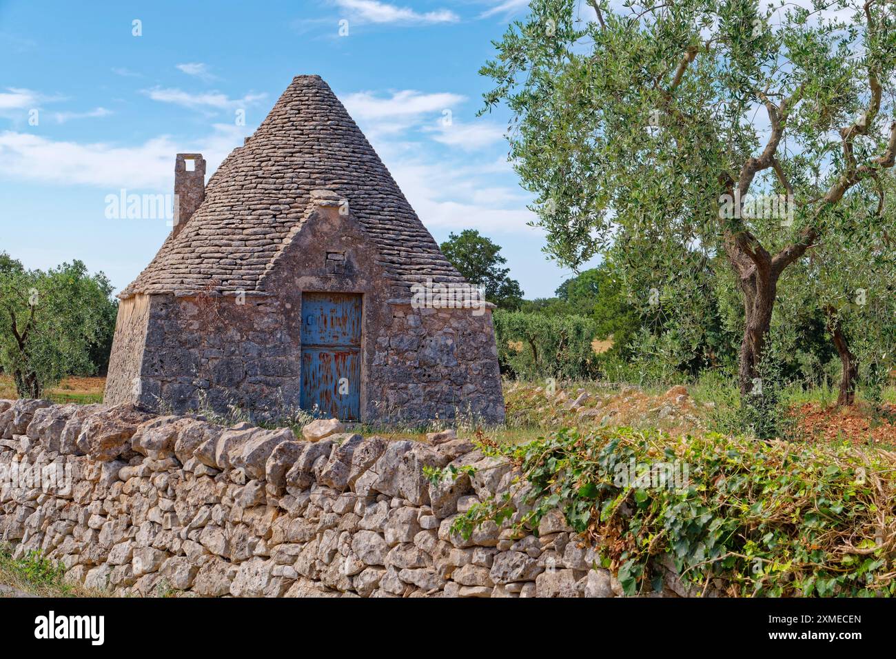 Un trullo indépendant, maison ronde avec un toit en pierre, sur le bord de la ville italienne méridionale d'Alberobello. Alberobello, Pouilles, Italie du Sud Banque D'Images