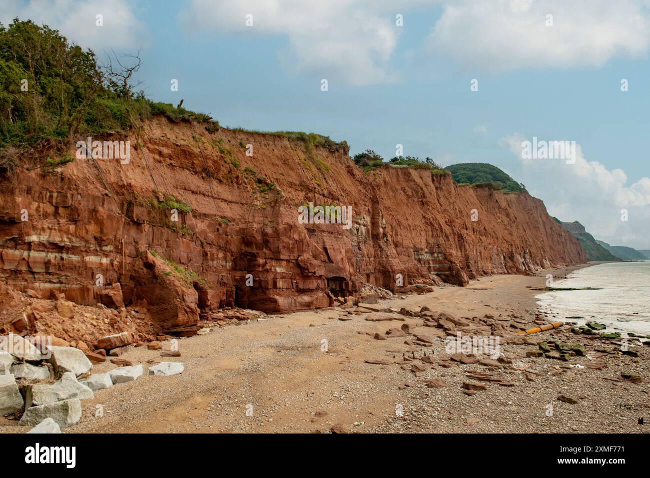 Les falaises de Sidmouth, Devon, Angleterre Banque D'Images