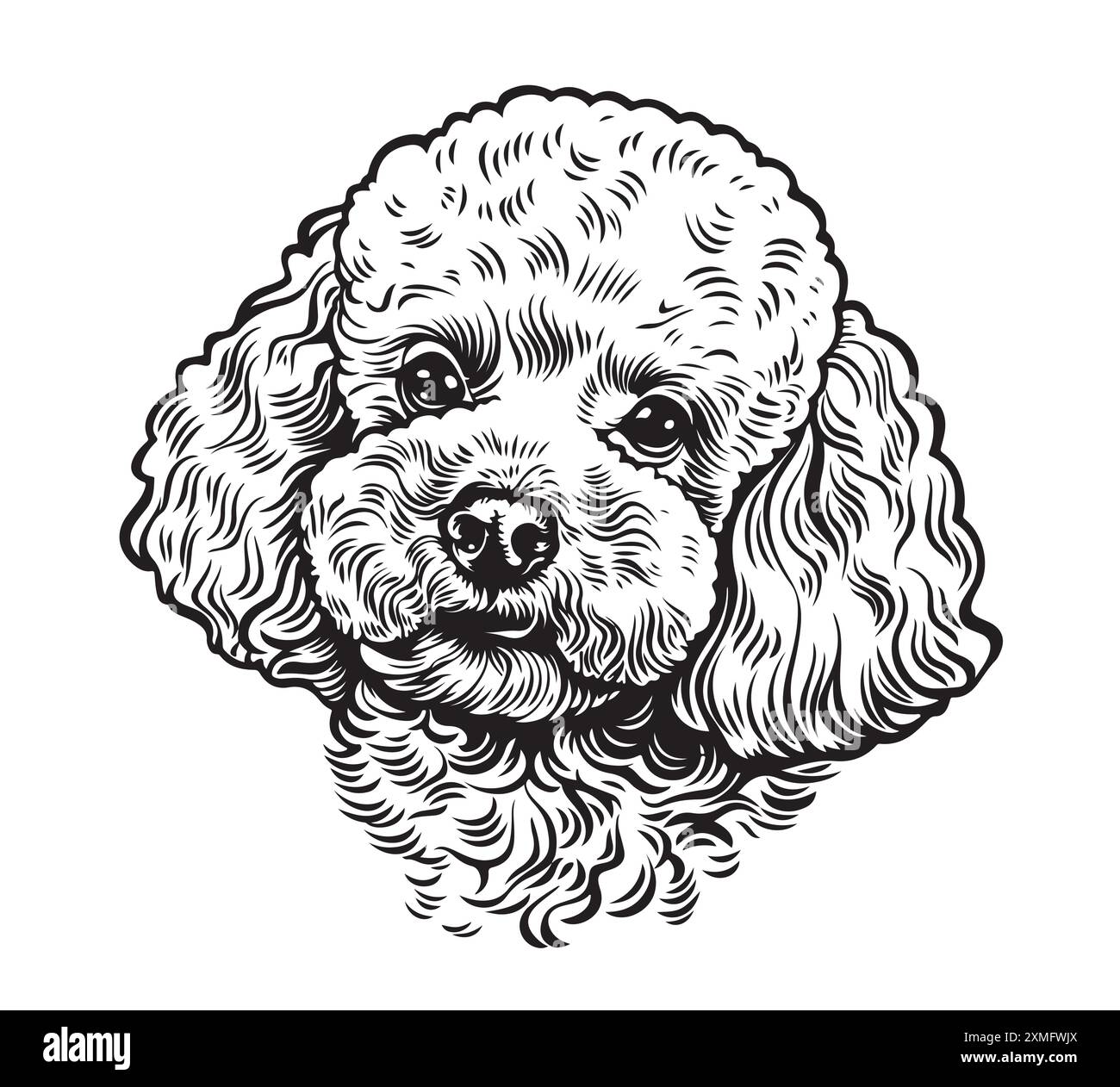Mignon jouet chien caniche portrait dessin à la main animaux de compagnie illustration vectorielle. Illustration de Vecteur