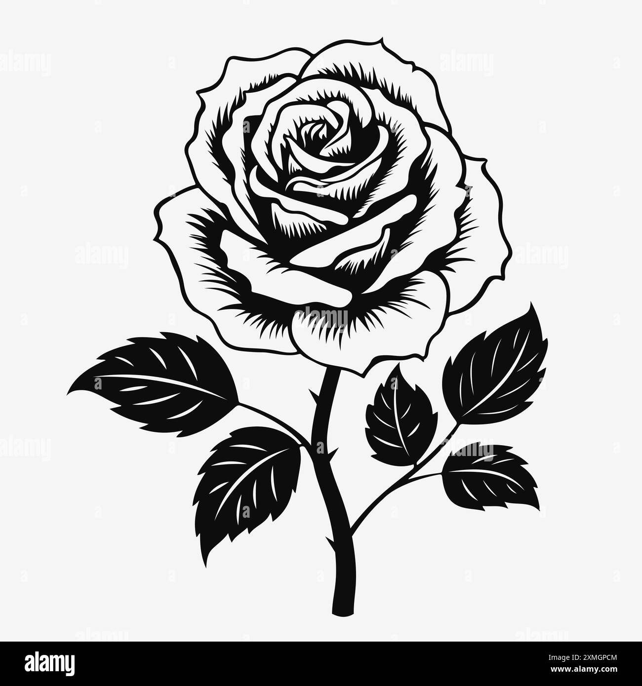 Fleur de rose. Silhouette de contour noir. Illustration vectorielle EPS10 Illustration de Vecteur