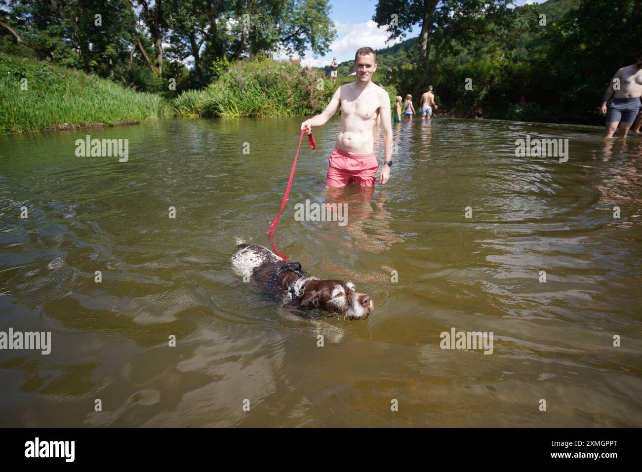 Un homme refroidit son chien à Warleigh Weir sur la rivière Avon à Bath, Somerset. Date de la photo : dimanche 28 juillet 2024. Banque D'Images