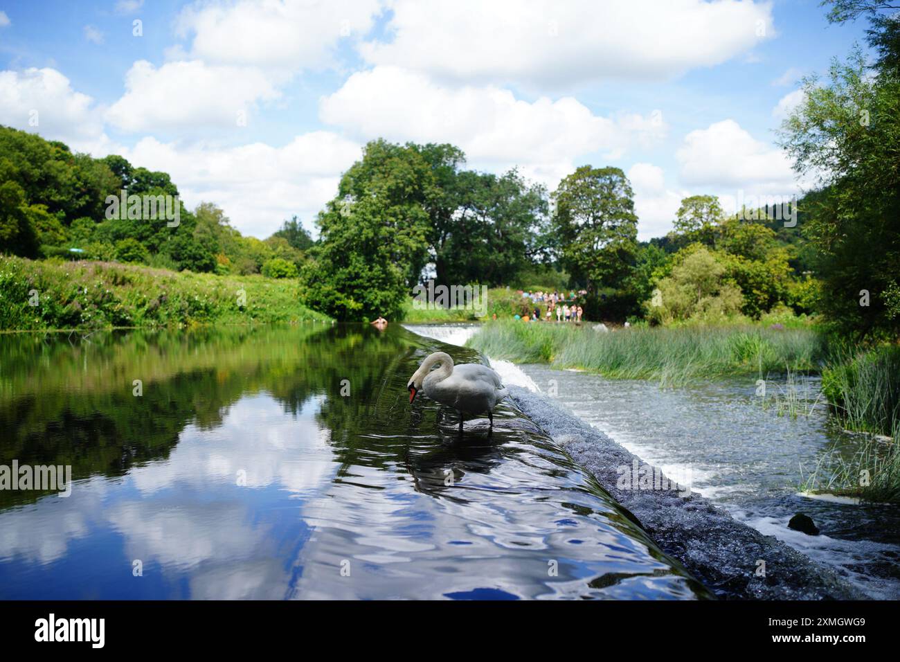 Les gens à Warleigh Weir sur la rivière Avon à Bath, Somerset. Date de la photo : dimanche 28 juillet 2024. Banque D'Images