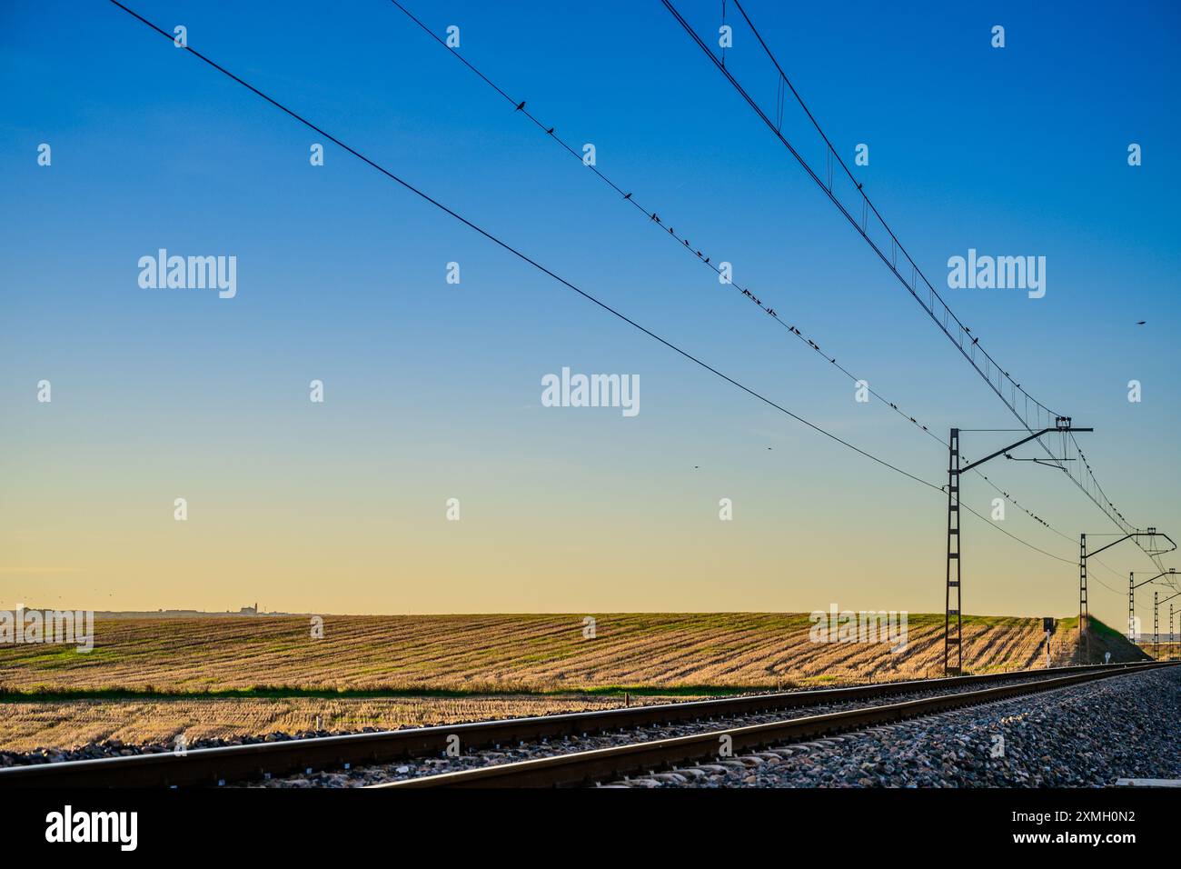 Système de caténaires de chemin de fer s'étendant à travers les champs de Carrión de los Céspedes, Séville, Andalousie, Espagne pendant le coucher du soleil. Un mélange paisible de technolo Banque D'Images