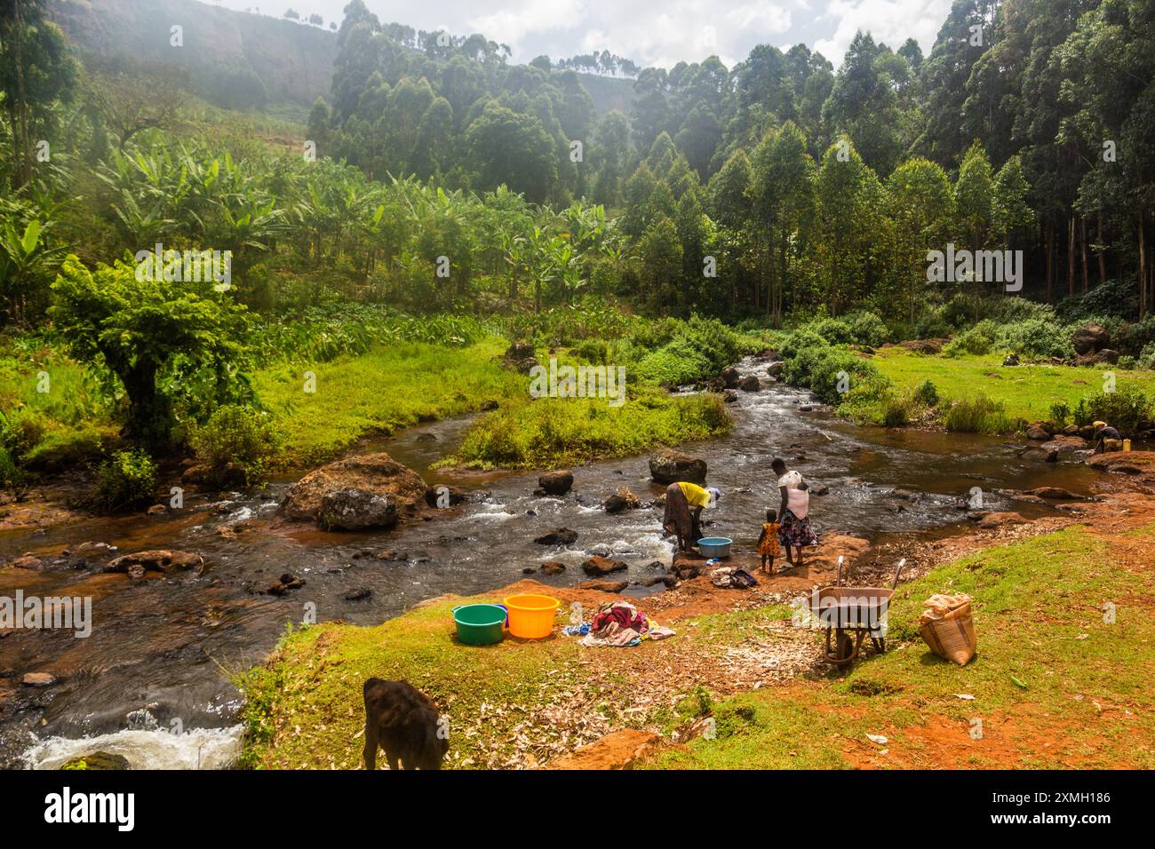 SIPI, OUGANDA - 28 FÉVRIER 2020 : femmes locales faisant la lessive dans la rivière Sipi, Ouganda Banque D'Images