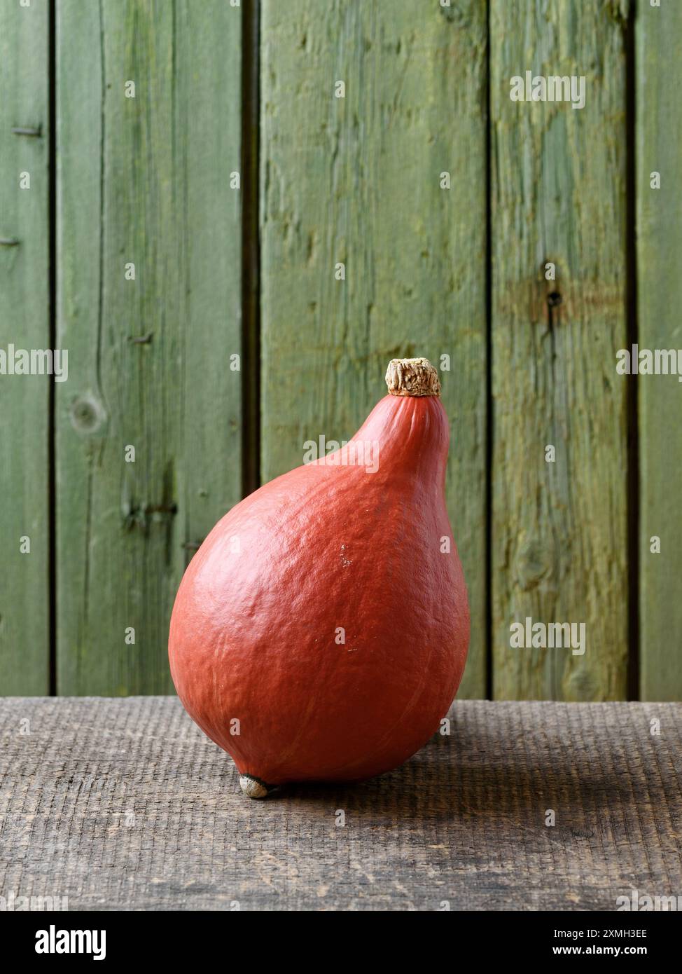 Courge Kuri rouge ou citrouille Hokkaido sur une vieille table en bois avec fond vert Banque D'Images