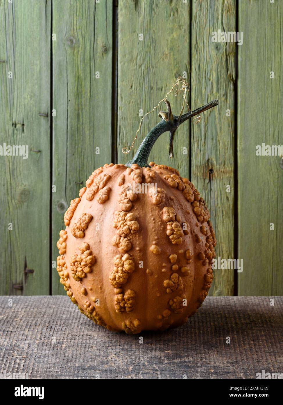 Musquee de Maroc Squash sur une vieille table en bois avec fond vert Banque D'Images