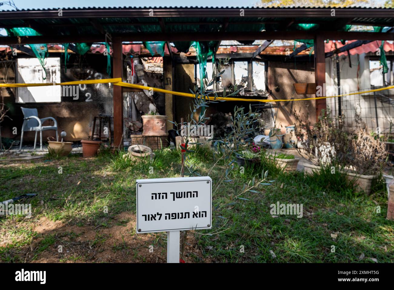 Une oliveraie plantée devant une maison dans le Kibboutz Kfar AZA, qui a été attaquée par des terroristes palestiniens le 7 octobre 2023. Banque D'Images