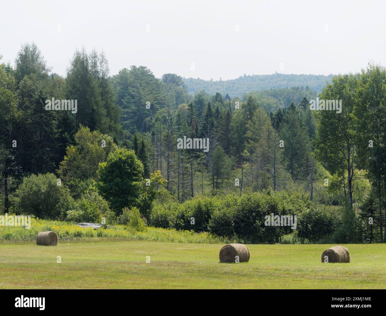 Rawdon, Québec, Canada. Dimanche 28 2024 juillet. La fumée des feux de forêt de l'Ouest canadien atteint le Québec. L'indice de la qualité de l'air pour le moment est à 3 (faible risque) crédit ; Richard Prudhomme/Alamy Live News Banque D'Images
