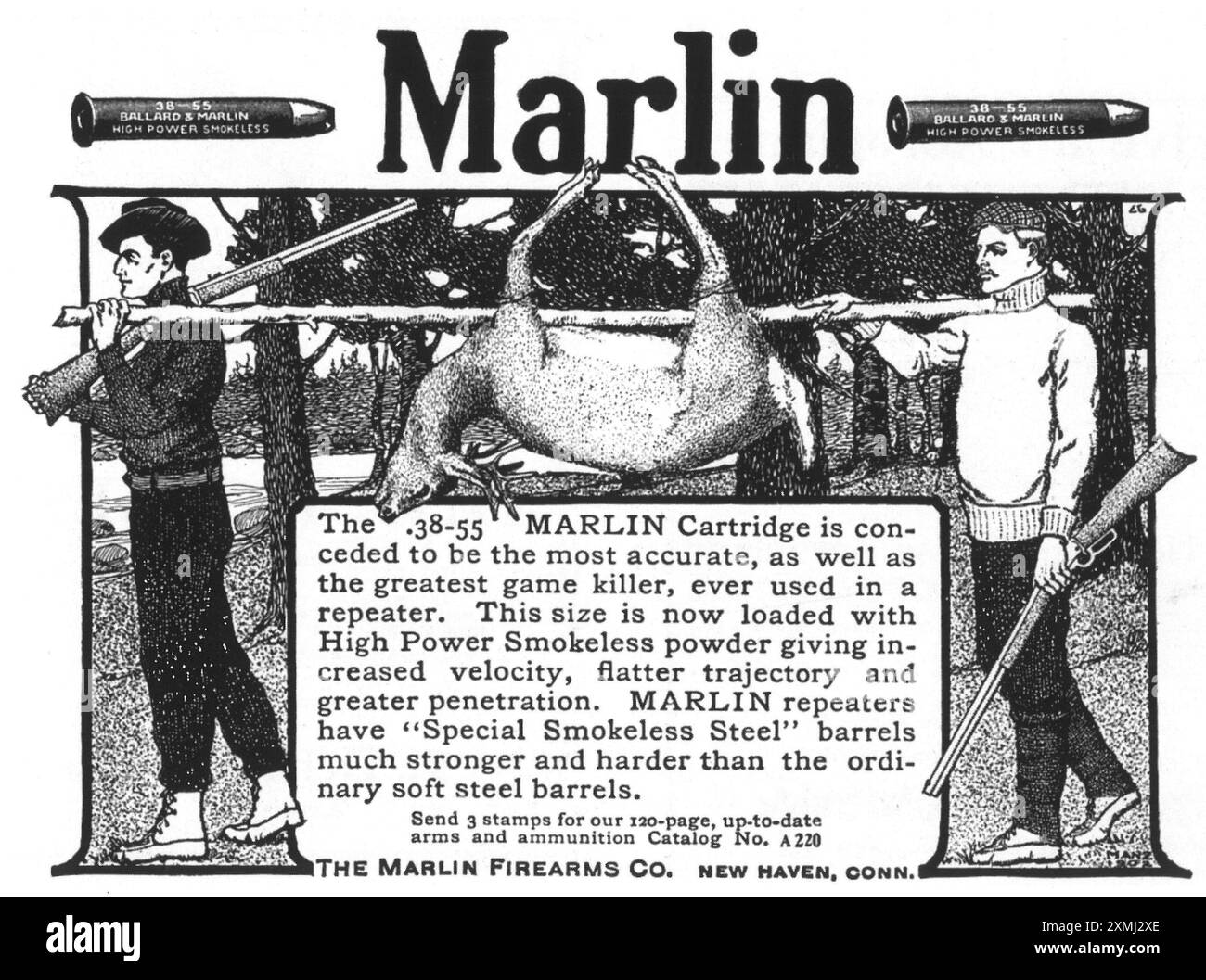 1903 Marlin Rifle .38-55 Cartridge ad - hommes portant un buck mort Banque D'Images