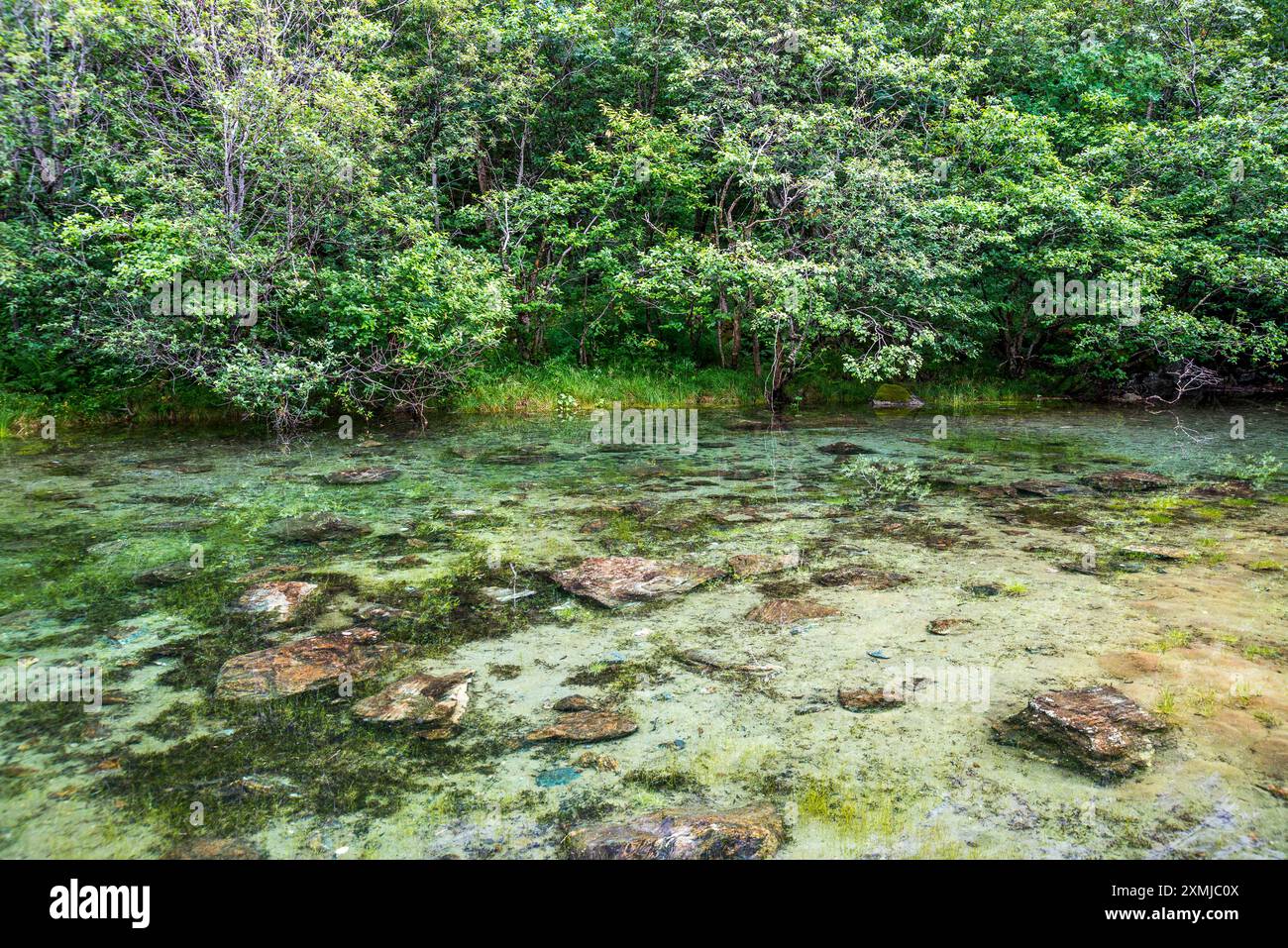 Rivière Rauma dans la région de Åndalsnes, Norvège Banque D'Images