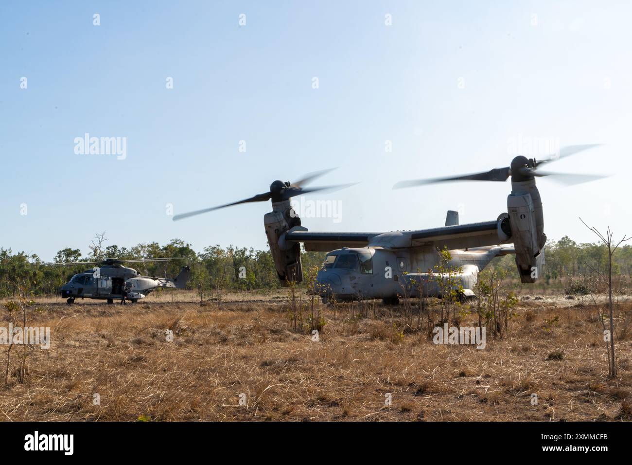 U.S. Marines avec Marine Medium Tiltrotor Squadron 268 (renforcé), Marine Rotational Force – Darwin 24.3, préparez-vous au décollage dans un MV-22B Osprey aux côtés de pilotes de la marine italienne dans un hélicoptère NH-90 pour une formation bilatérale dans le cadre d'une sortie d'entraînement pendant l'exercice Pitch Black 24 à Mount Bundey Training Area, territoire du Nord, Australie, le 22 juillet 2024. L’exercice Pitch Black 24 est le plus important des 43 ans d’histoire de l’exercice et rassemble 20 pays participants, plus de 140 avions du monde entier et plus de 4 000 membres du personnel. Exercise Pitch Black 24 permet le combat aérien de MRF-d 24.3 Banque D'Images