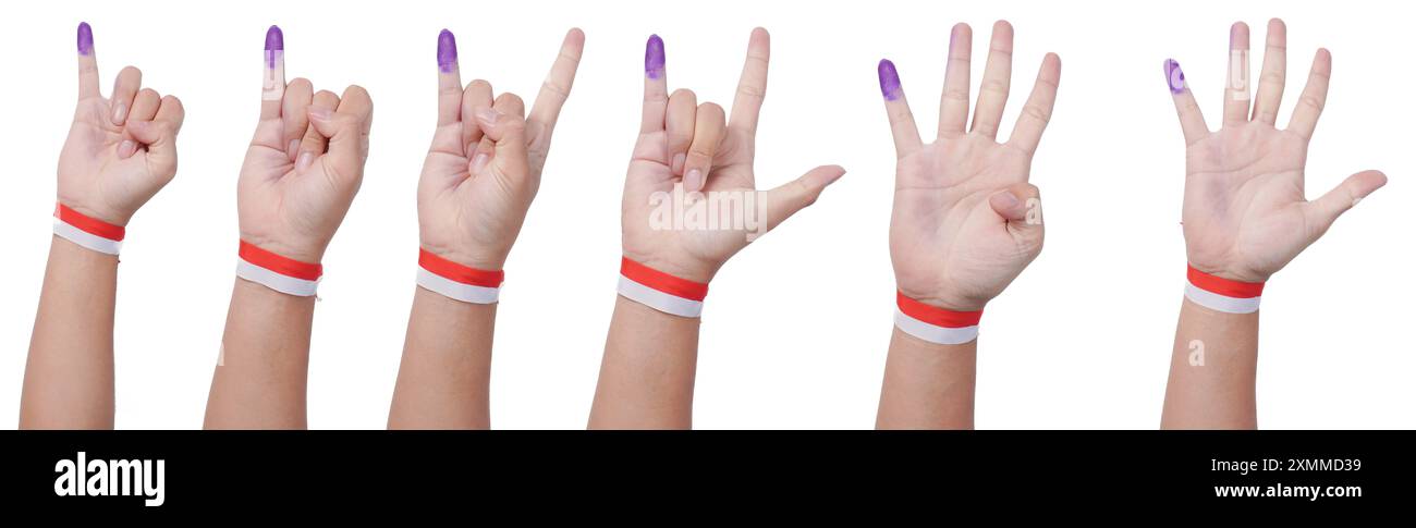 Groupe de main portant ruban de drapeau sur le poignet montrant petit doigt trempé dans l'encre violette après avoir voté pour l'élection de l'Indonésie ou Pemilu tout en tenant mini Banque D'Images