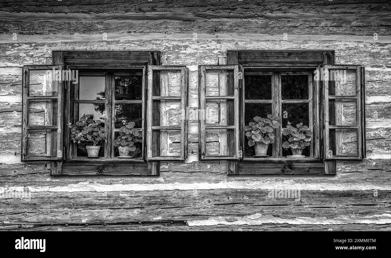 Fleurs en pot et fenêtre ouverte sur chalet en bois Banque D'Images