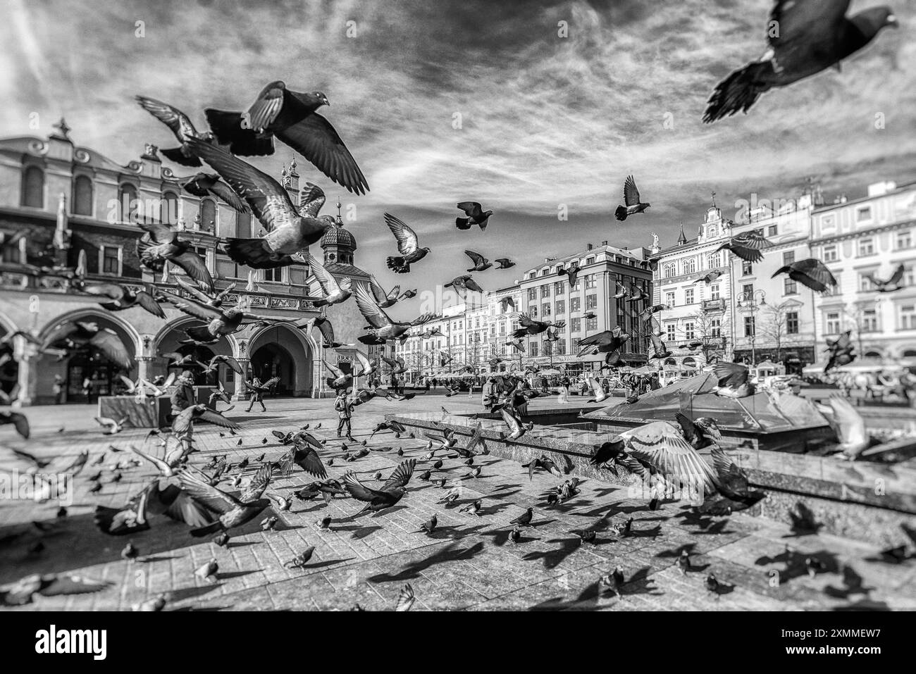 CRACOVIE, POLOGNE - 19 FÉVRIER 2018 : troupeau de pigeons sur la place principale Banque D'Images