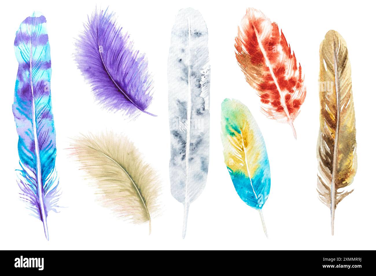 Illustration aquarelle collection colorée de plumes multicolores, dessinées à la main. Banque D'Images