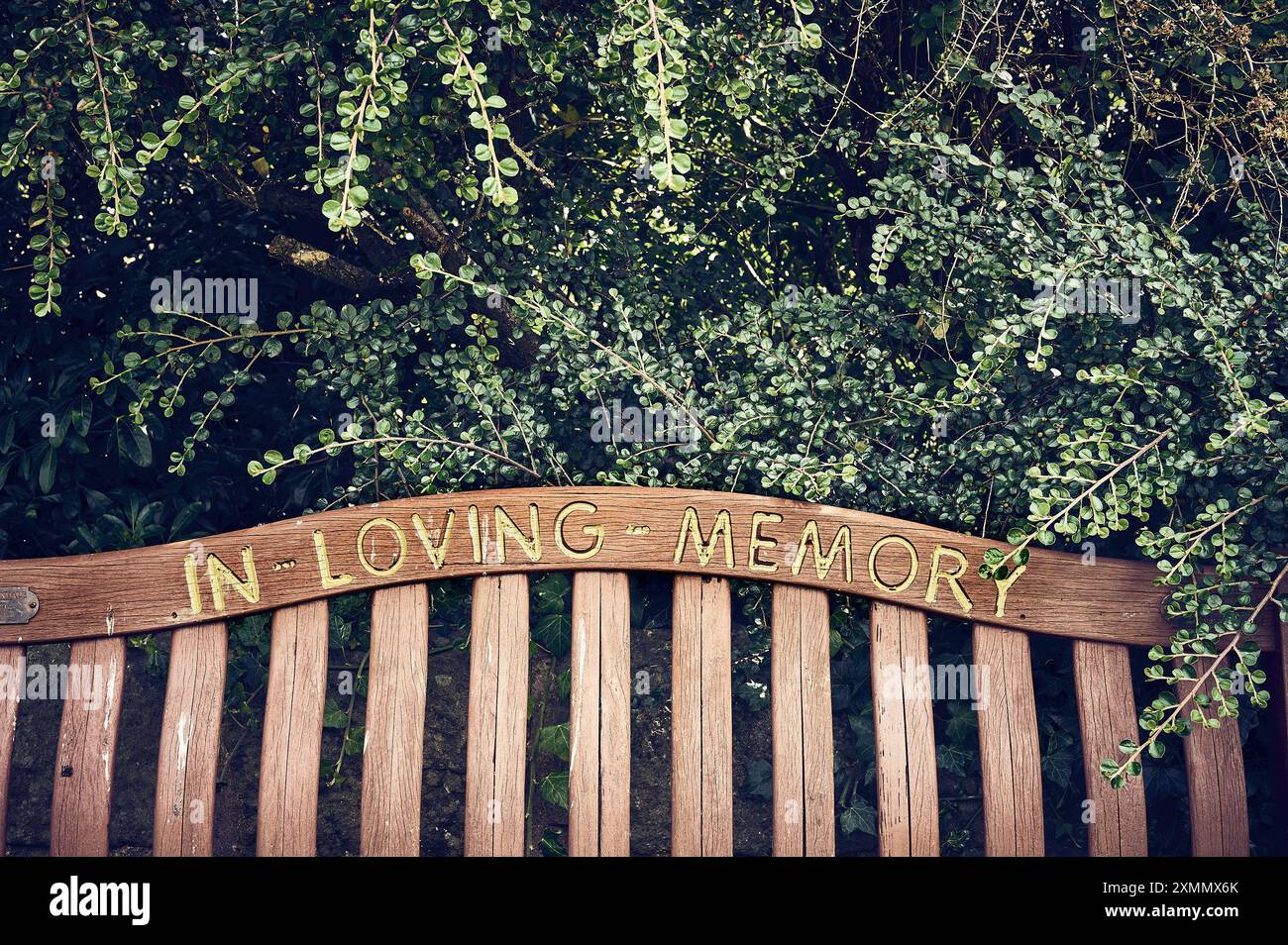 Siège en bois de cimetière « en mémoire amoureuse » Banque D'Images