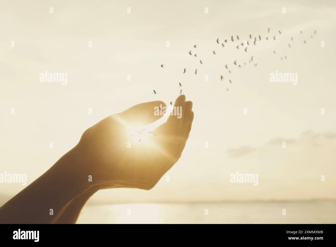 moment surréaliste des mains libérant un troupeau d'oiseaux dans le ciel ensoleillé, concept de liberté Banque D'Images