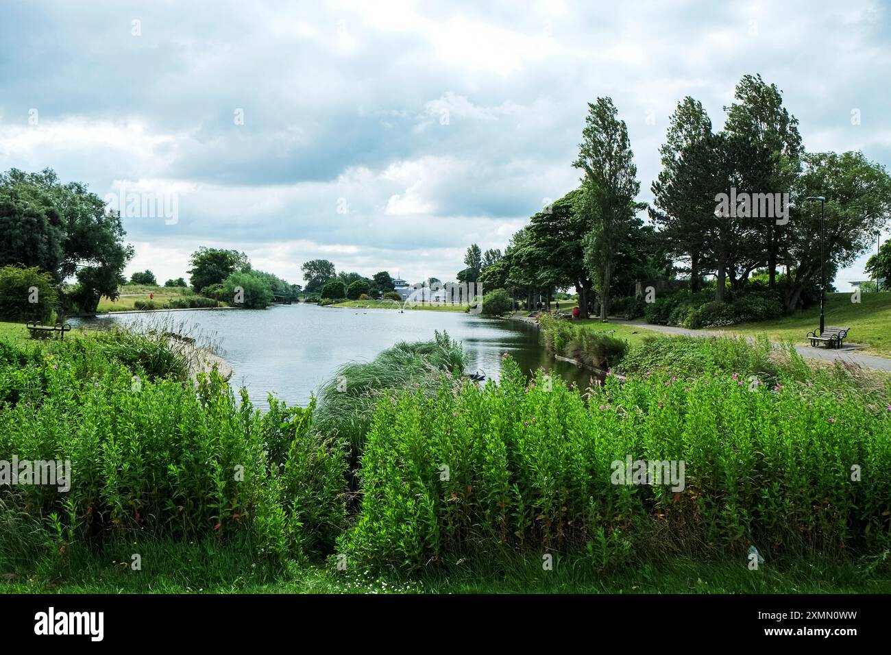 Cleethorpes Boating Lake, Cleethorpes, Lincolnshire, Royaume-Uni, Angleterre, bateau lac, lac, lacs, lac de pêche, plantes de lac, lac bordé d'arbres, Cleethorpes l Banque D'Images