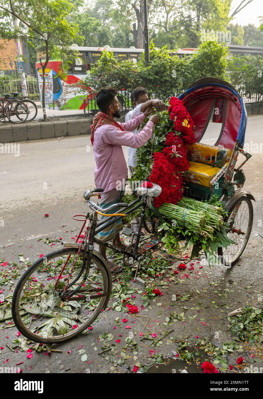 Homme bangladais chargeant des roses rouges sur un pousse-pousse au marché, Division de Dhaka, Dhaka, Bangladesh Banque D'Images