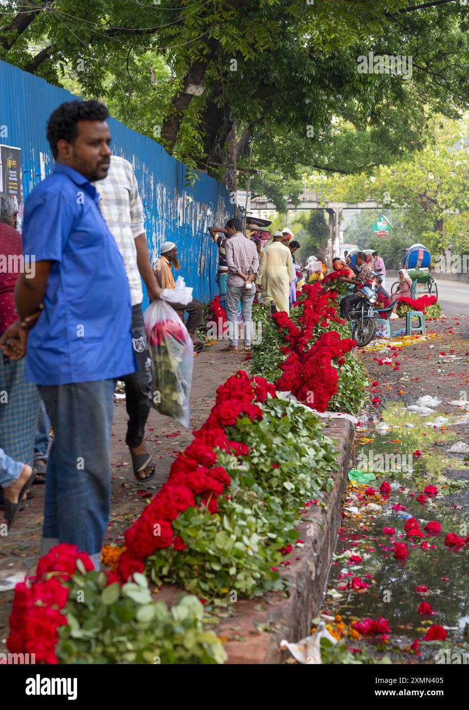 Homme bangladais vendant des roses rouges au marché aux fleurs, Division de Dhaka, Dhaka, Bangladesh Banque D'Images