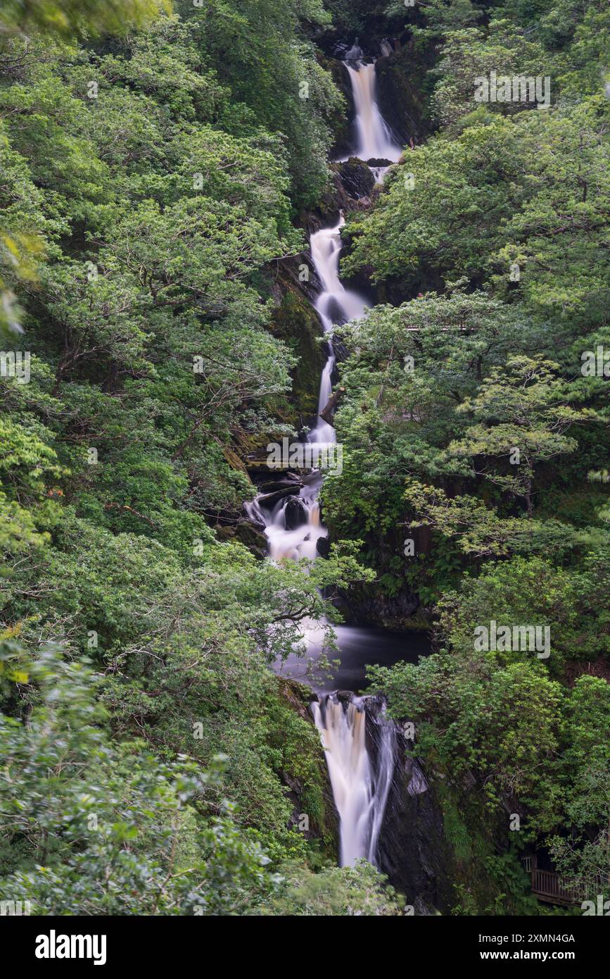 Pont du diable, pays de Galles occidental. La cascade de la promenade des trois ponts, vue du bas du sentier de Jacob's Ladder. Banque D'Images