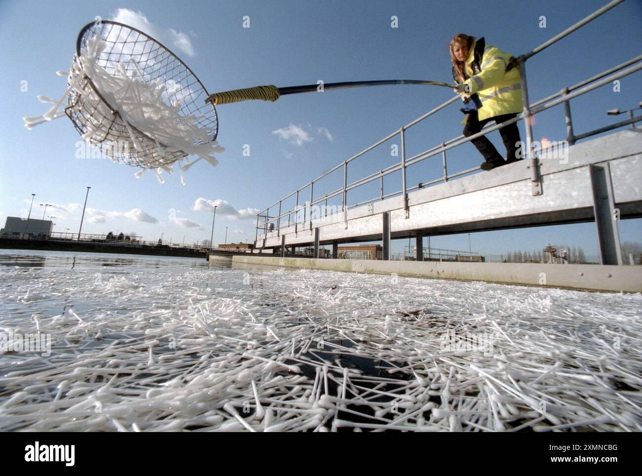 Thames Water Une femme pêchant des bourgeons de coton dans les usines de traitement des eaux usées d'Oxford 9 février 1999 photo de Roger Bamber Banque D'Images