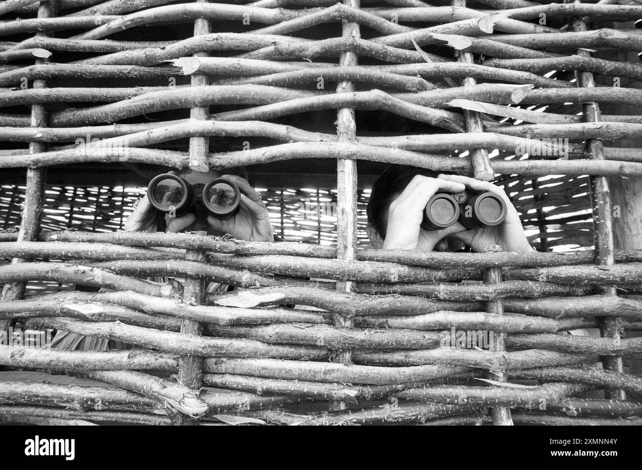 Au début des années 1990, le National Trust a commencé à restaurer les prairies, en ouvrant les canaux et en rétablissant les vannes. Ce travail a créé non seulement un bon pâturage, mais aussi un habitat pour de nombreuses espèces. Les libellules et les demoiselles comme l'eau qui se déplace lentement dans les canaux, les vallons se reproduisent ici et il abrite des oiseaux sauvages et des échassiers d'hivernage tels que Snipe, Lapwing et Golden Plover. Et les plantes qui aiment le sol humide, comme le rose Ragged Robin prospèrent. Un couple d'observation des oiseaux dans une peau 2 mai 1995 photo de Roger Bamber Banque D'Images