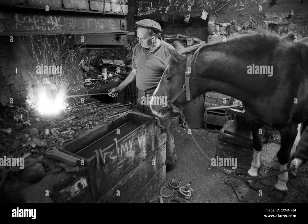 Après plus de 50 ans de tir les chevaux de police d'Avon et Somerset , le farrier de force Monty Ball (64) est sur le point de remettre l'entreprise à son fils Andrew . Monty , la quatrième génération de sa famille à chasser des chevaux de police à leur Winford Forge près de Bristol , a monté plus de 31 000 chaussures qui sont faites par lui sur la forge qui a été dans sa famille de forgeron depuis 10 générations. Il n'a pas l'intention d'arrêter de tirer les chevaux ... il suffit de laisser la cinquième génération courir le côté des affaires. 7 octobre 1991 photo de Roger Bamber Banque D'Images