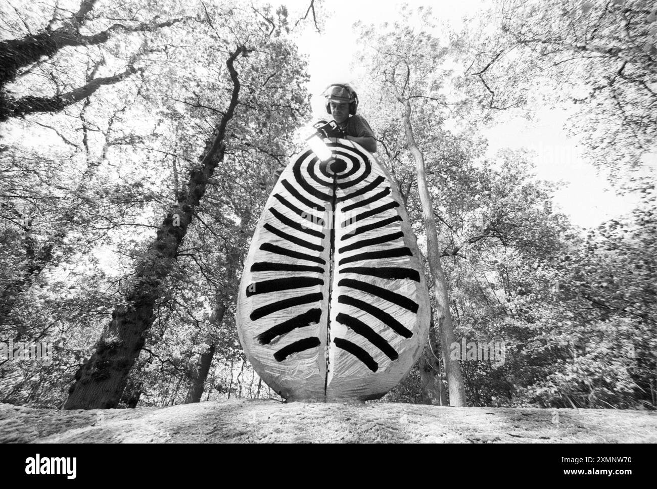 Sculpteur Walter Bailey avec des œuvres d'art à la tronçonneuse la pièce a été commandée pour célébrer un nouveau sentier de la nature Kingfisher dans la forêt autour du réservoir Ardingly dans le Sussex. 30 mai 1996 photo de Roger Bamber Banque D'Images