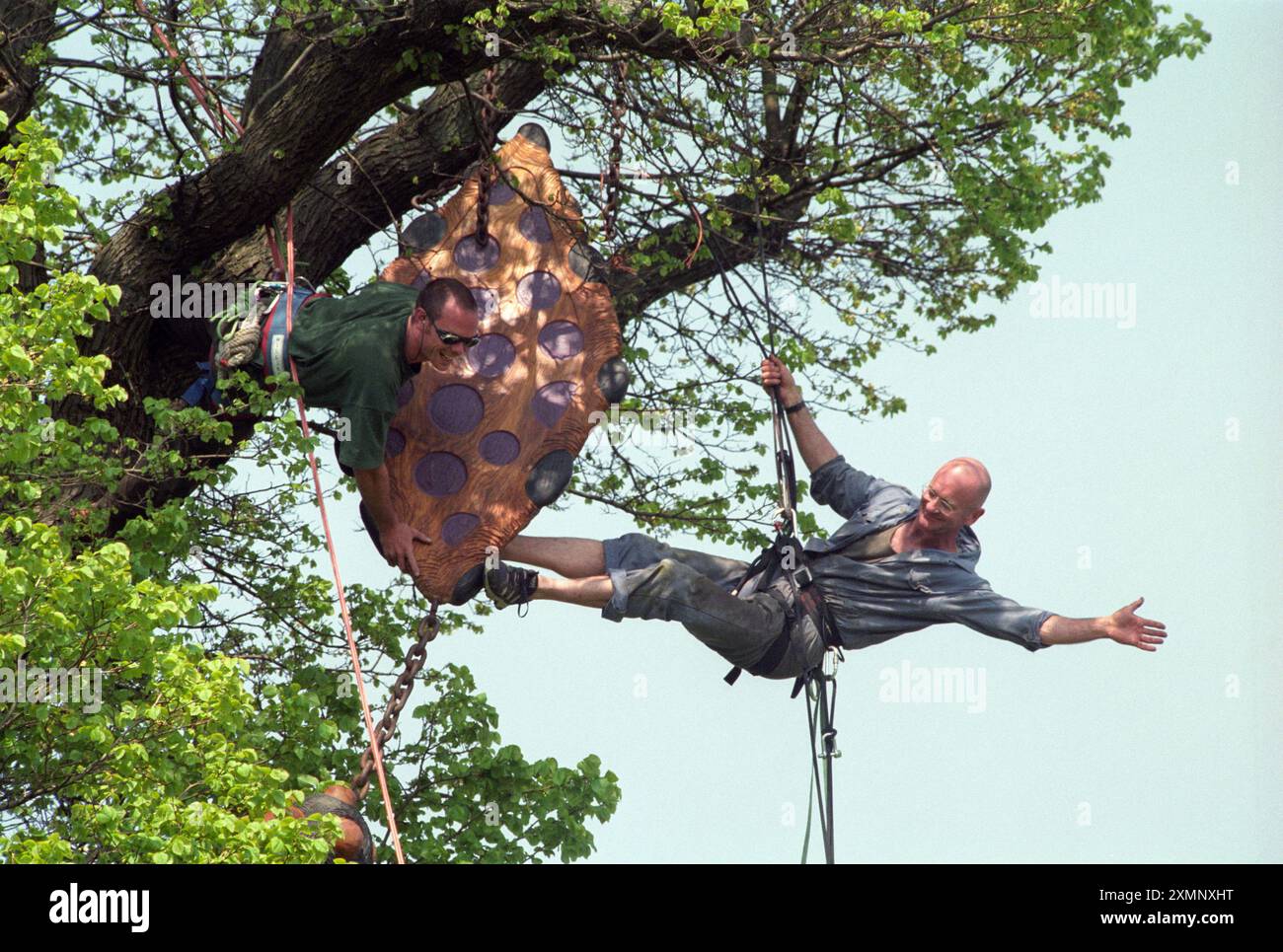 Deux chirurgiens d'arbres descendant en rappel pendent de leurs harnais tout en installant un 'Tree Kite' en bois fabriqué à partir d'orme malade haut dans les branches d'un arbre dans le Old Stein, Brighton, East Sussex, Angleterre Royaume-Uni. Le cerf-volant fait partie d'une série sculptée par le sculpteur Johnny Woodford pour être exposée lors du Brighton Festival. 4 mai 1999 photo de Roger Bamber Banque D'Images