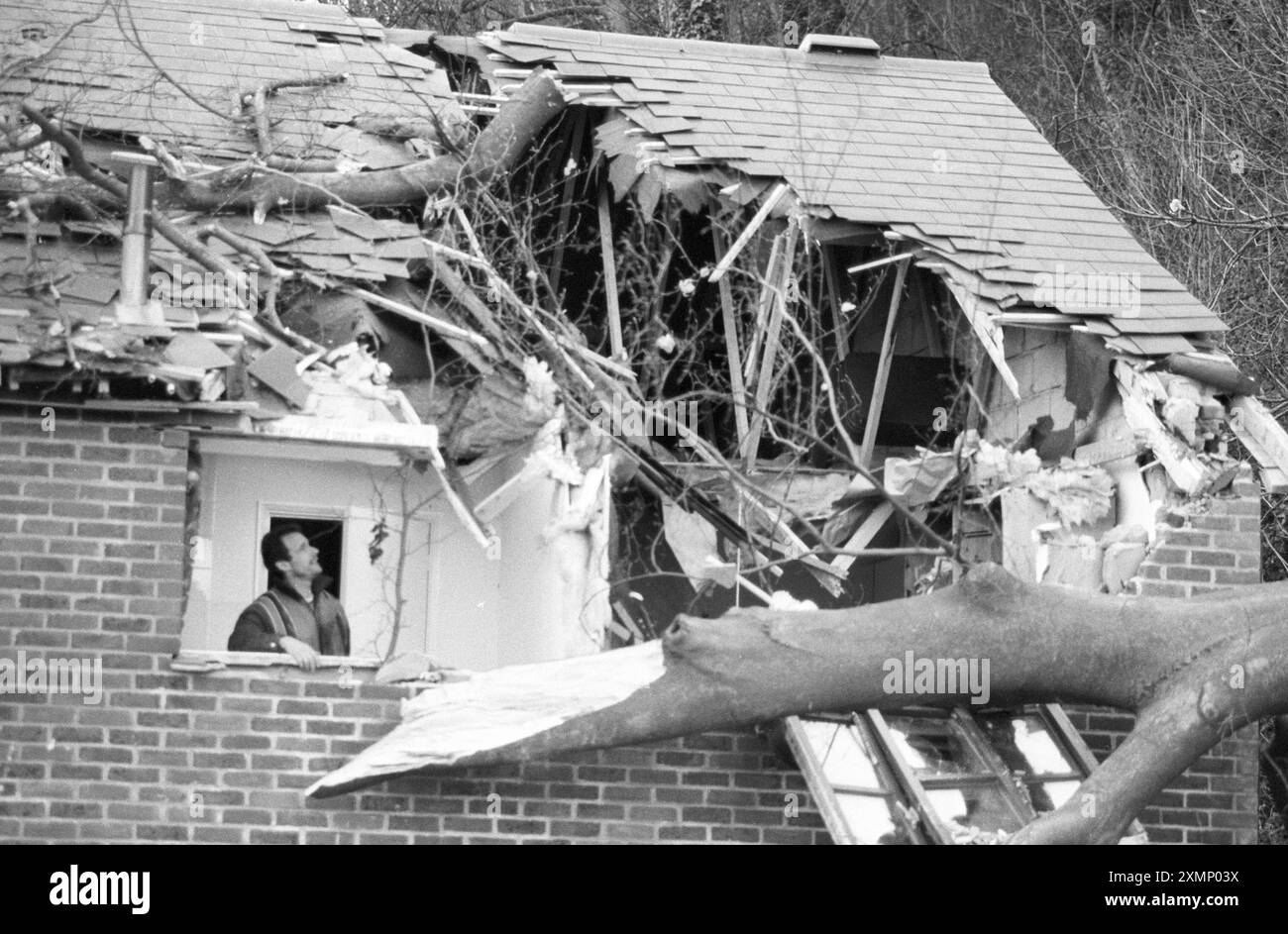 Arbre sur la maison un homme regardant par sa fenêtre à l'arbre qui a brisé son toit le 9 décembre 1993 Banque D'Images