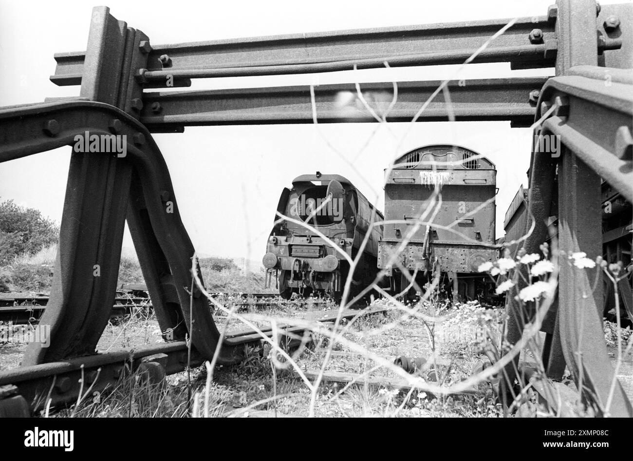 Barry Scrapyard ( B ) avec des locomotives British Rail retirées Banque D'Images