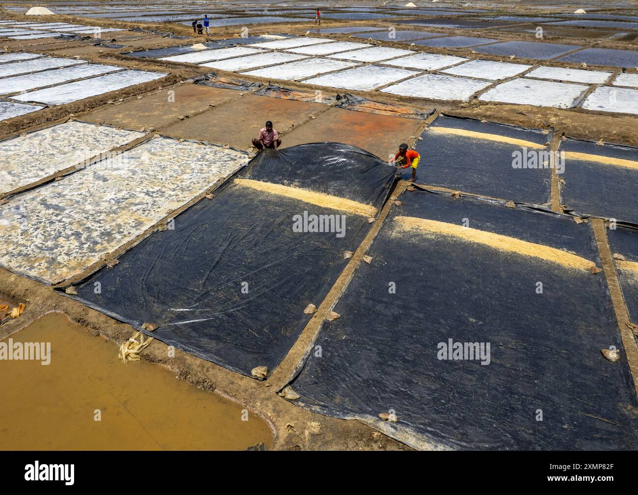 Hommes bangladais travaillant dans un champ de sel, division de Chittagong, Maheshkhali, Bangladesh Banque D'Images