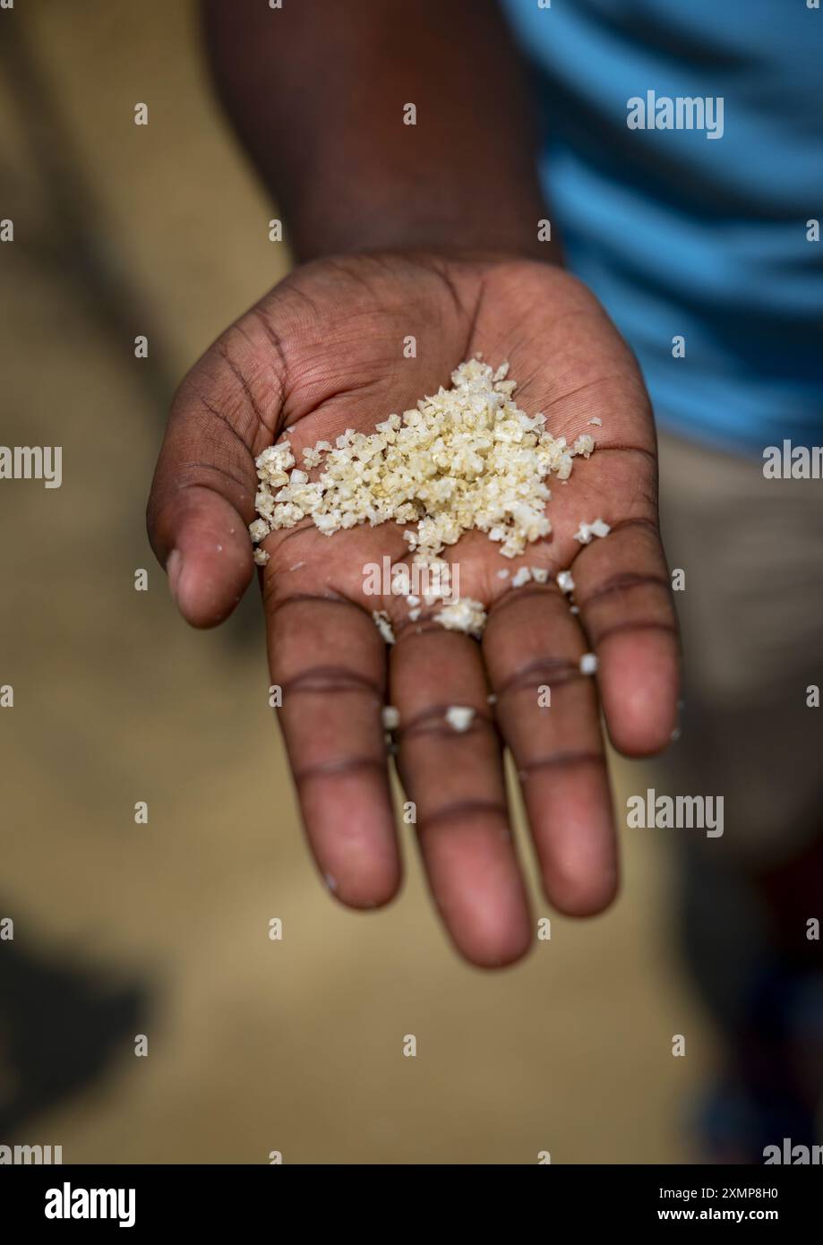 Homme bangladais montrant du sel à la main, Division de Chittagong, Maheshkhali, Bangladesh Banque D'Images