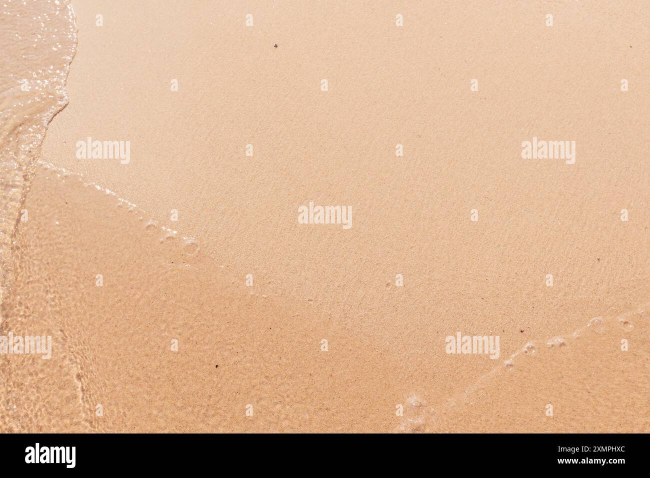 un endroit pour le texte sur un paysage marin avec une vague Banque D'Images