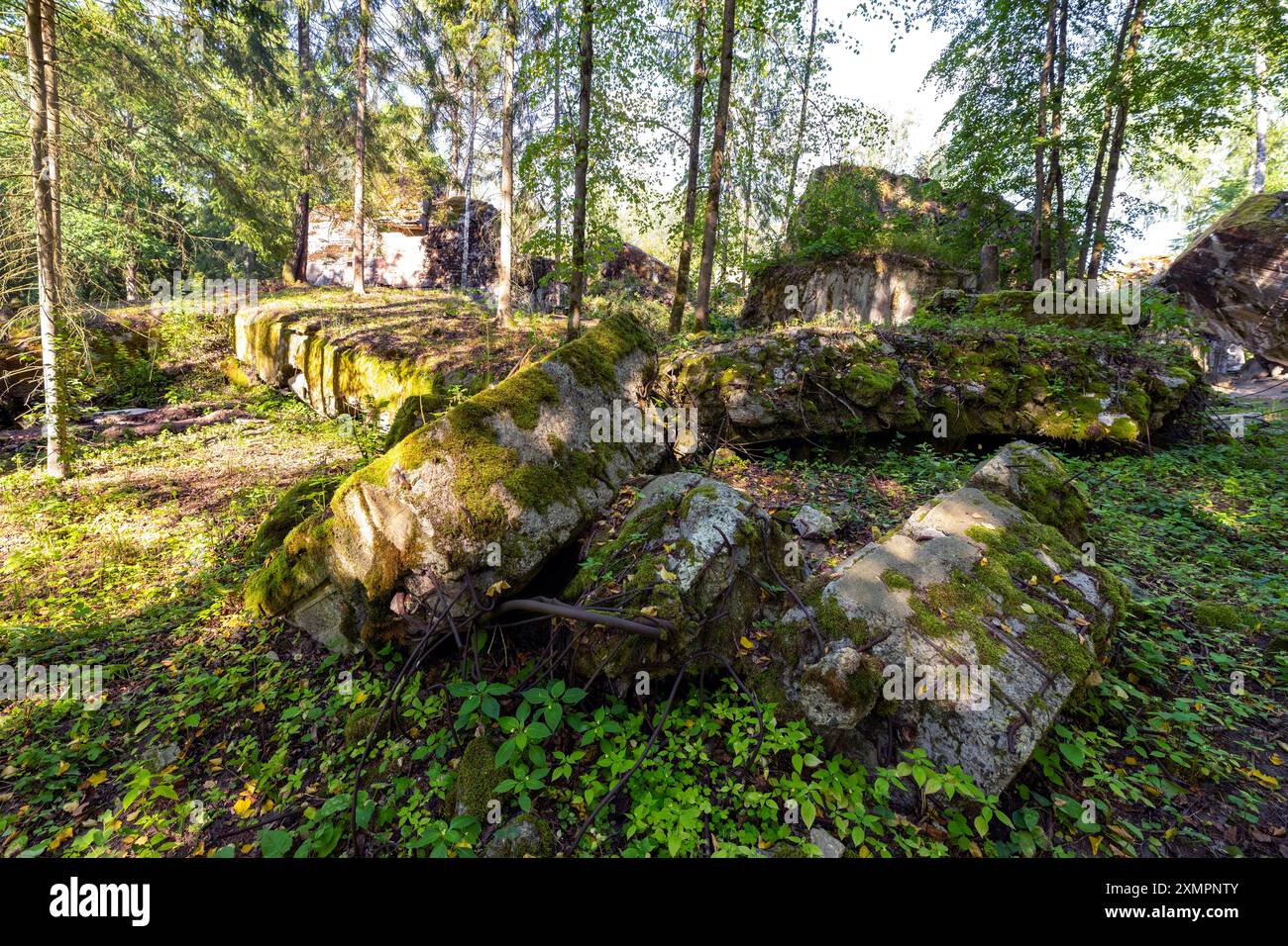 Anciennes fortifications allemandes en partie préservées au milieu de la forêt Banque D'Images