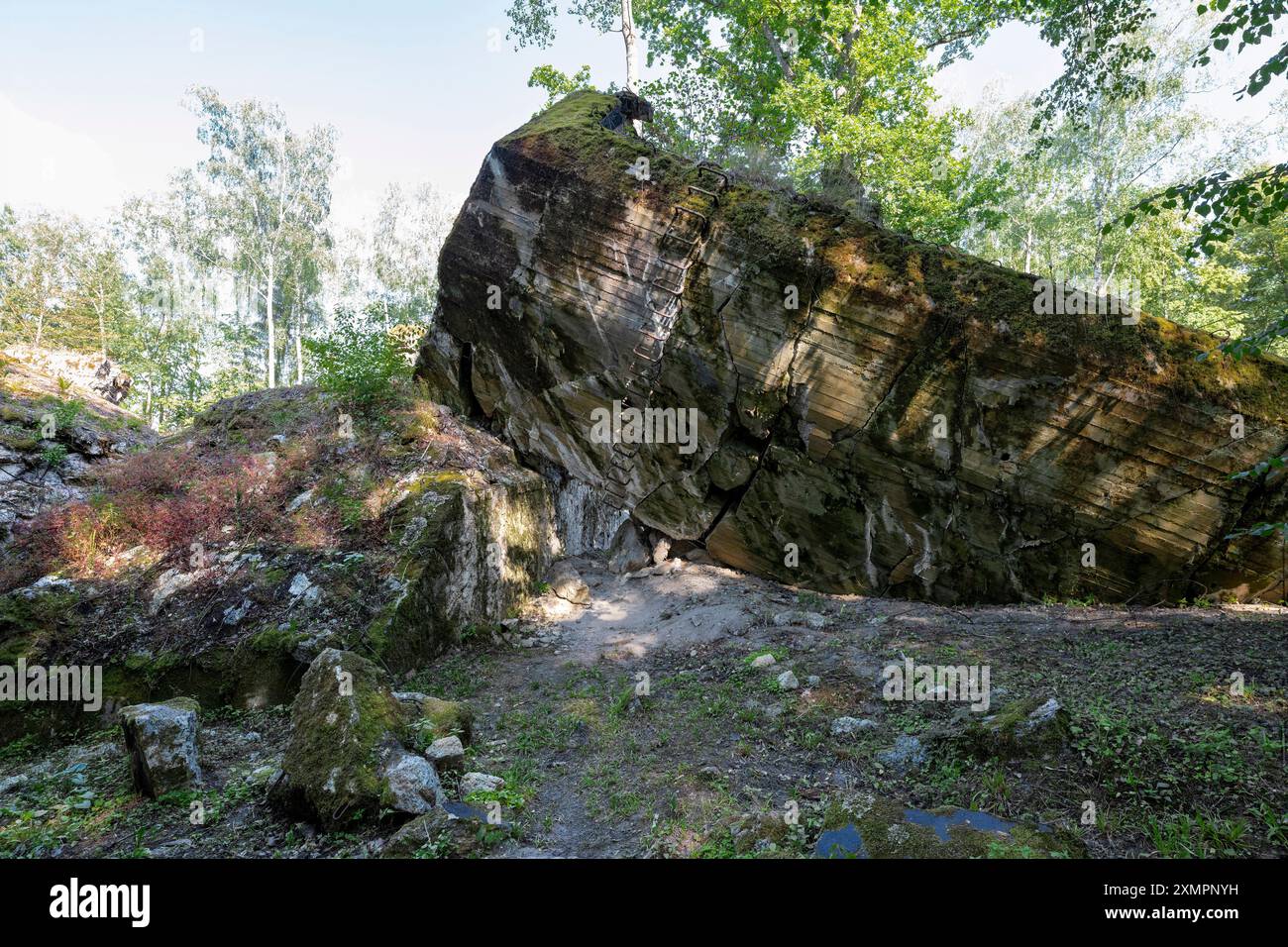 Vieux bunkers allemands en partie préservés au milieu de la forêt Banque D'Images