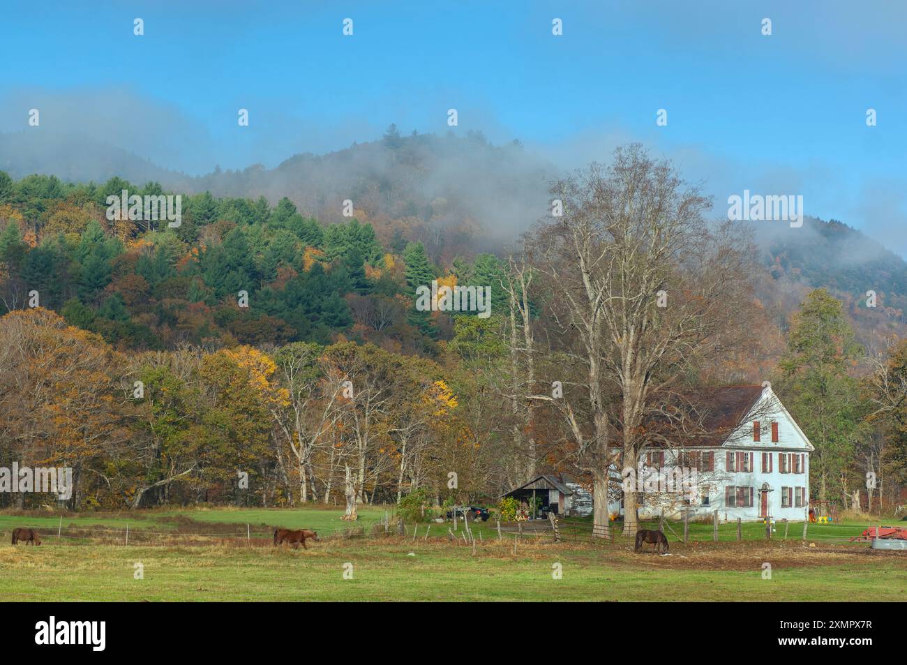 Etats-Unis, Nouvelle-Angleterre, été indien, est, Vermont, Townshend, chevaux et ferme avec Green Mountains Banque D'Images