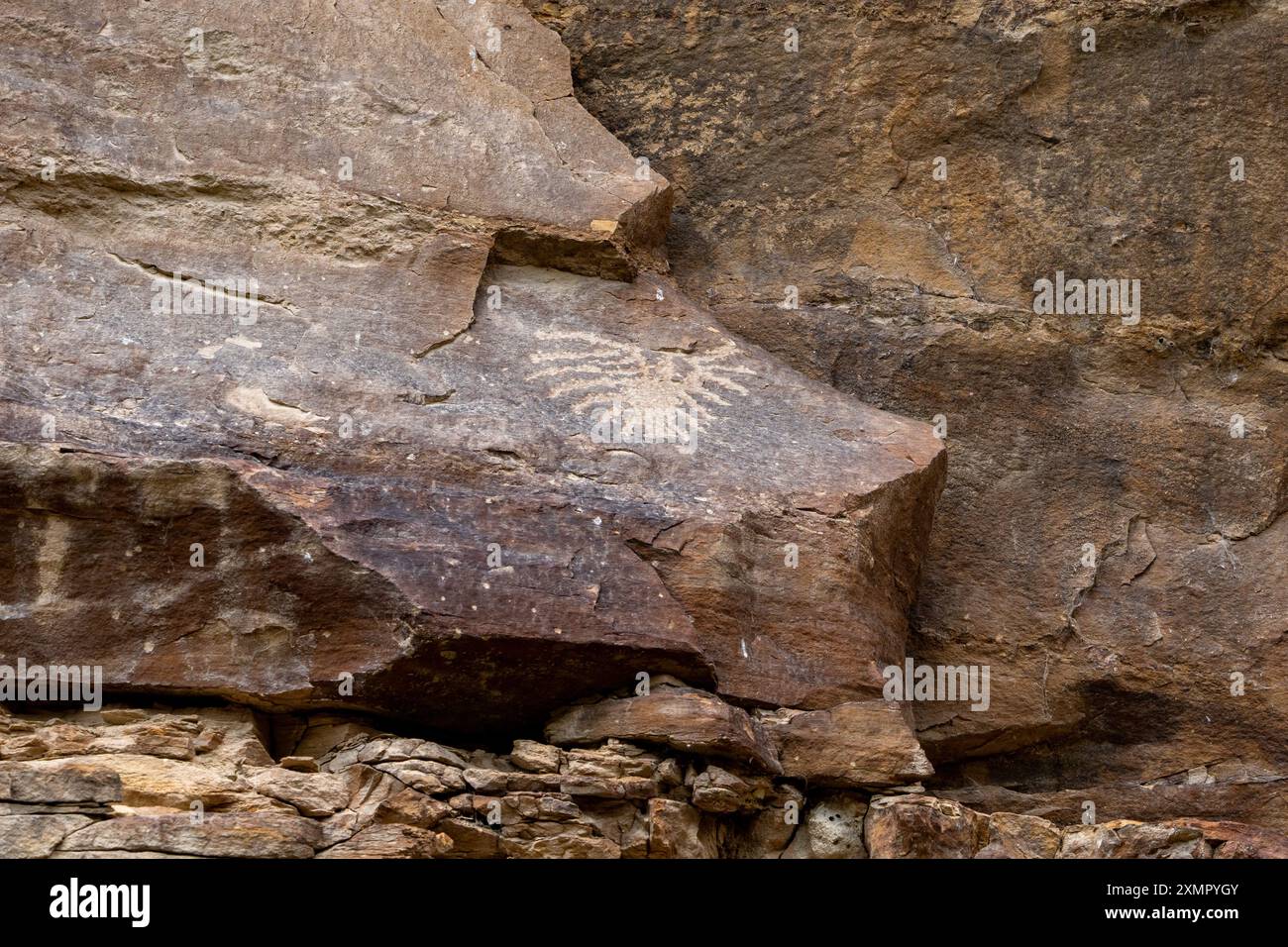 Art rupestre préhispanique amérindien de la culture Fremont ou panneau de pétroglyphes à Nine Mile Canyon, Utah. Ici est une figure stylisée, peut-être un bi Banque D'Images