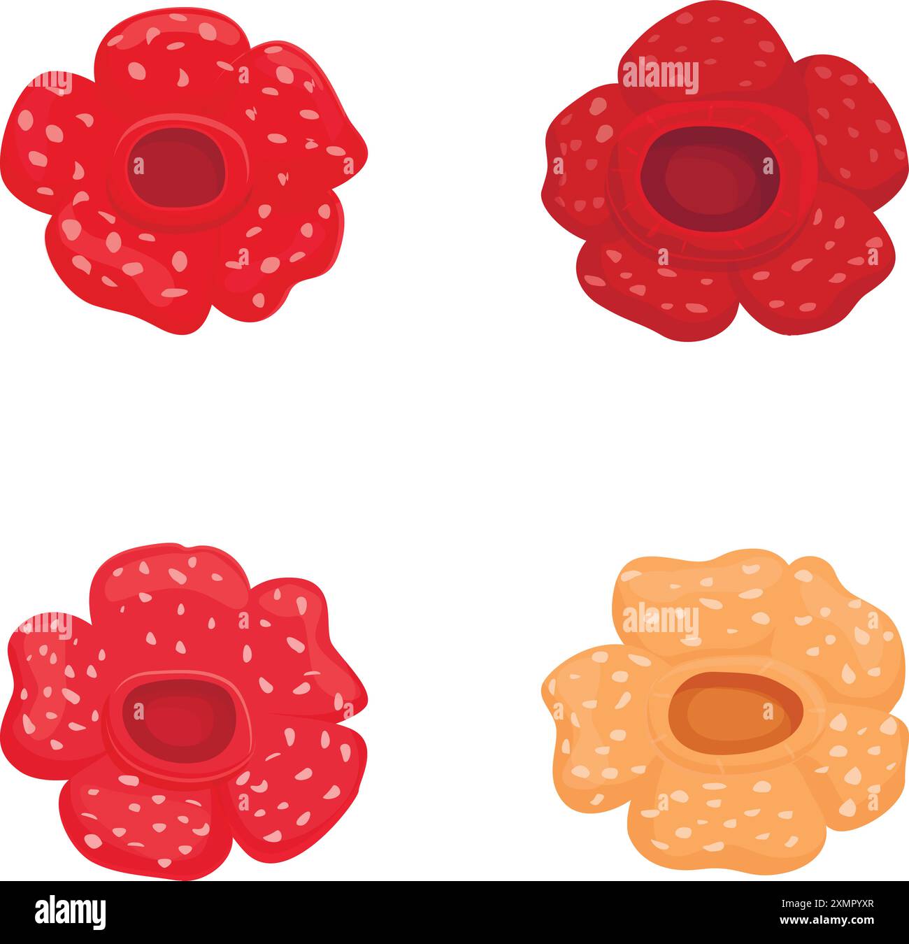 Collection vibrante de fleurs de bande dessinée dans différentes couleurs adaptées à une utilisation de conception Illustration de Vecteur