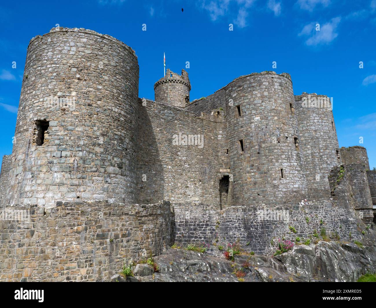 Château de Caernarfon, forteresse médiévale à Gwynedd, au nord-ouest du pays de Galles. Banque D'Images