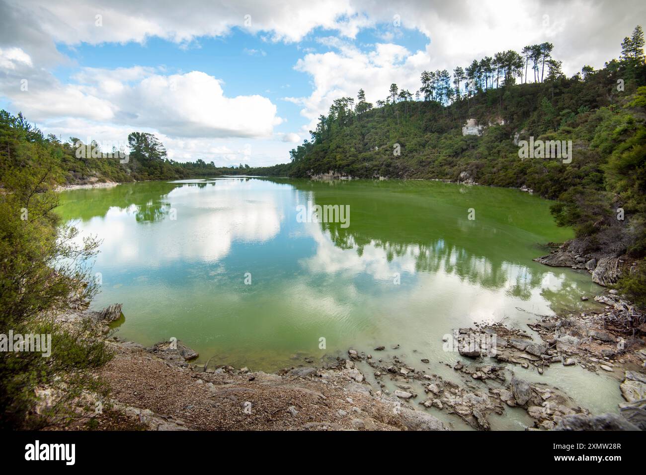 Lac Ngakoro à Waiotapu - Nouvelle-Zélande Banque D'Images